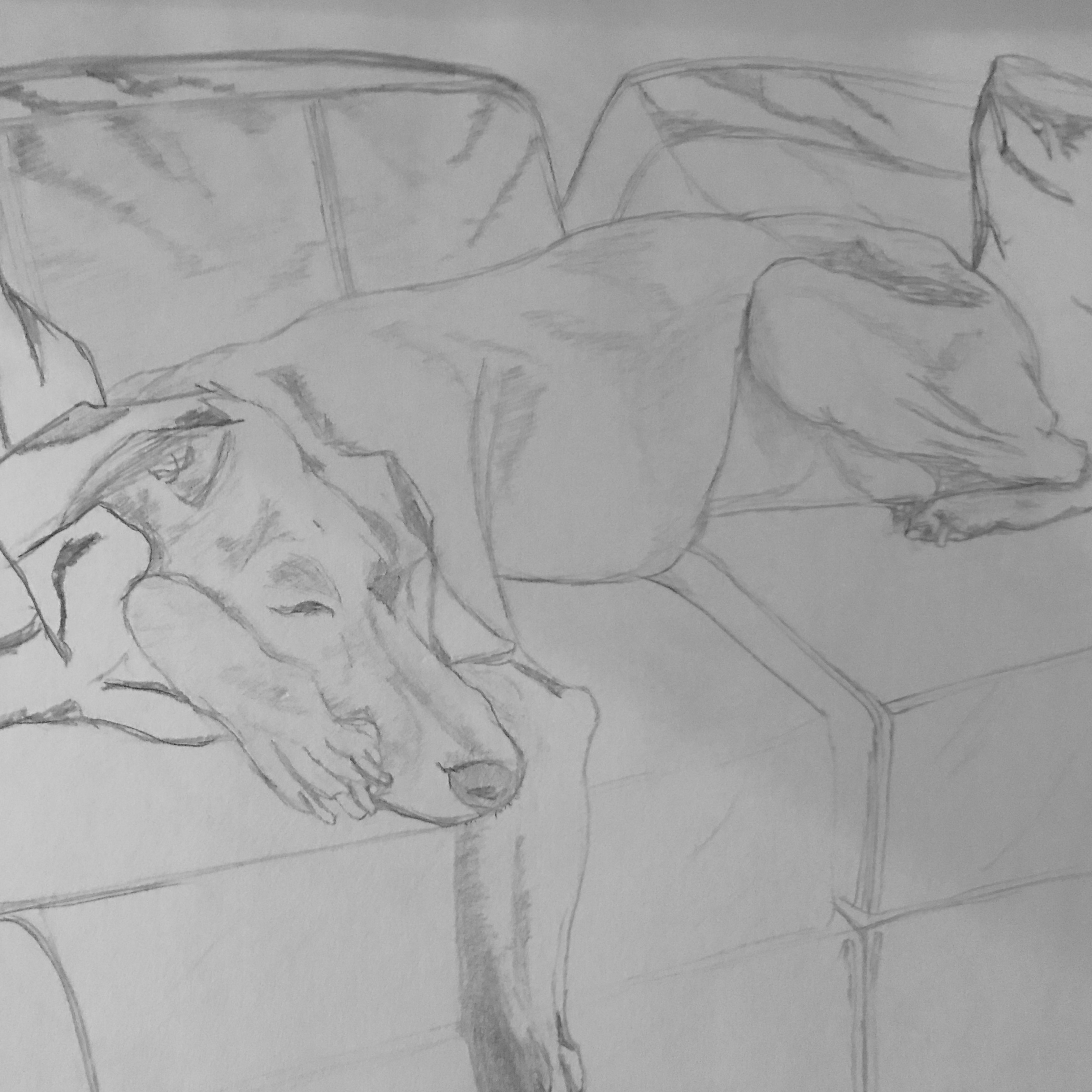 <em>Sleeps</em><br>Pencil on sketchbook paper<br>12 in x 14 in