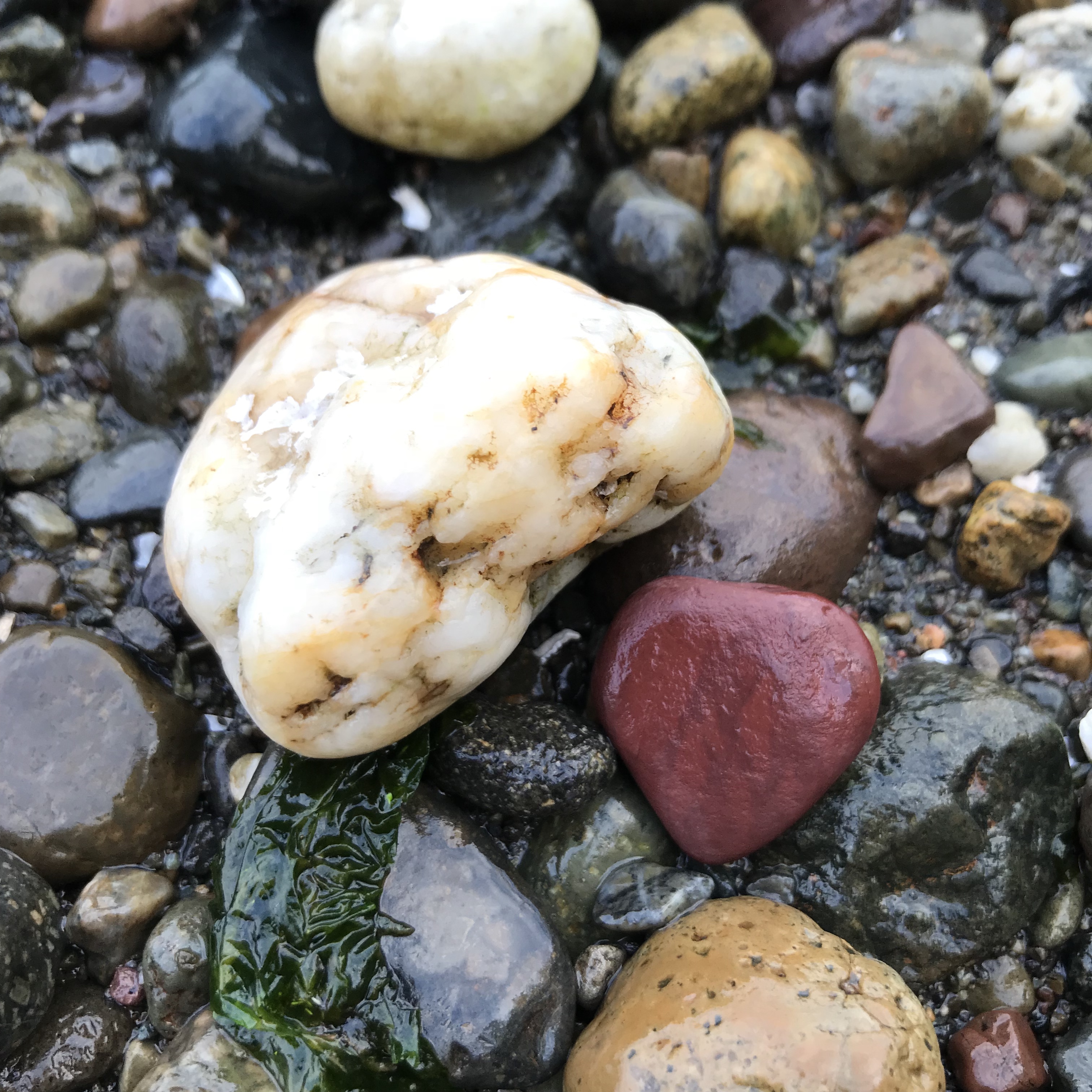 <em>head_heart</em><br>From the Head Heart Series<br>Rock Still Life Photo<br>4 in x 4 in